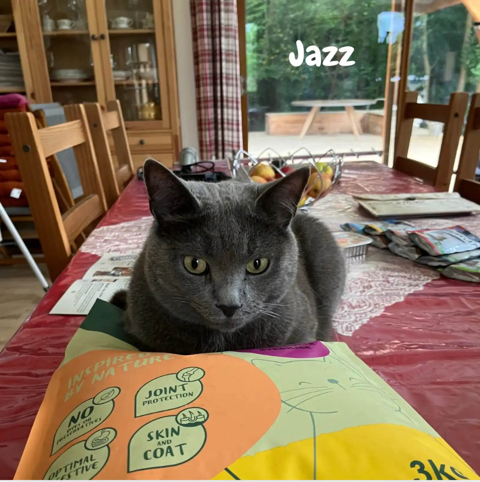 Jazz