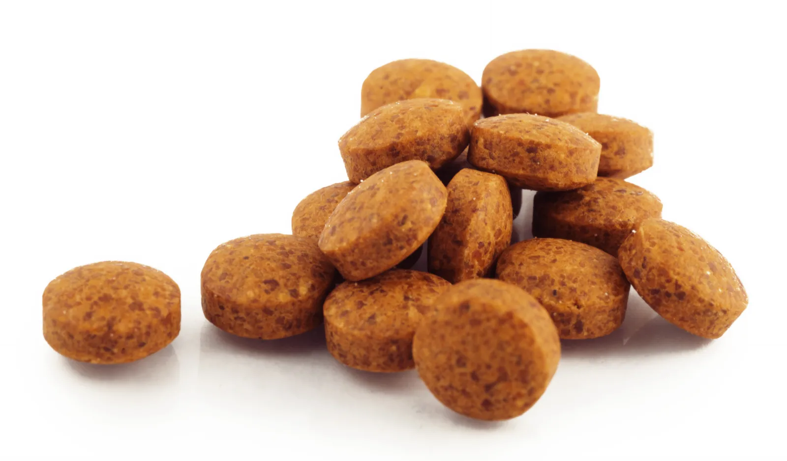 Conseillère en nutrition canine et féline