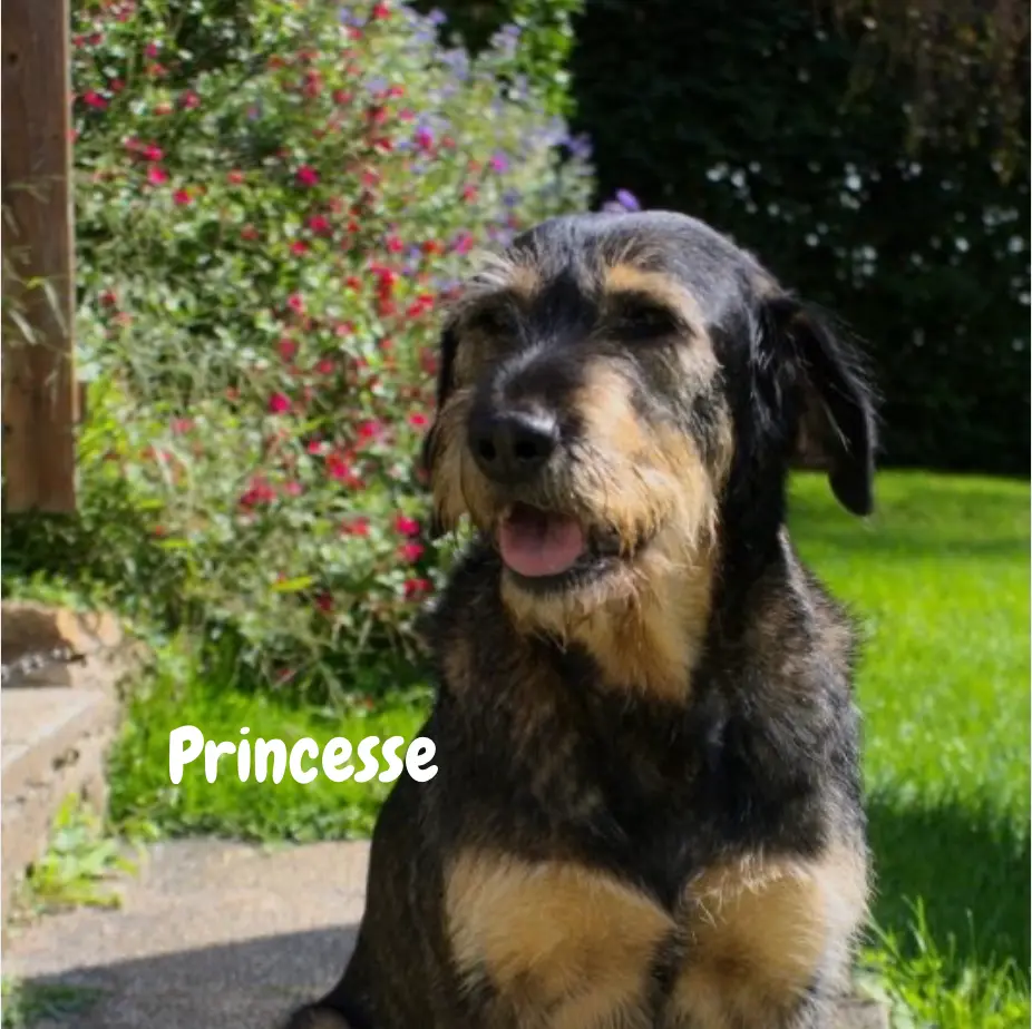 Princesse
