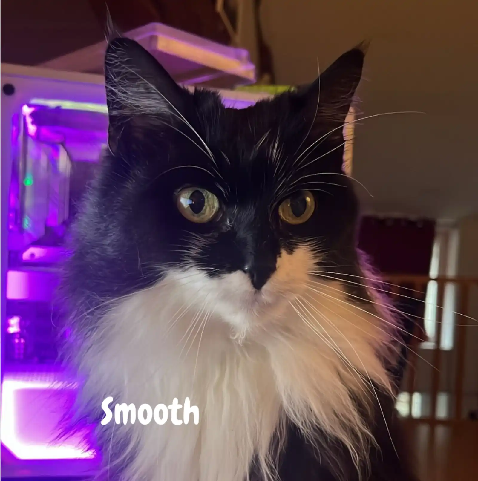 Smooth