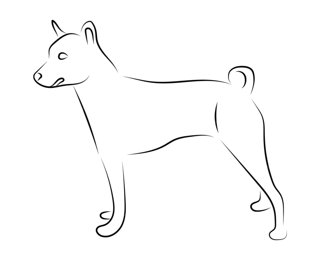 chien